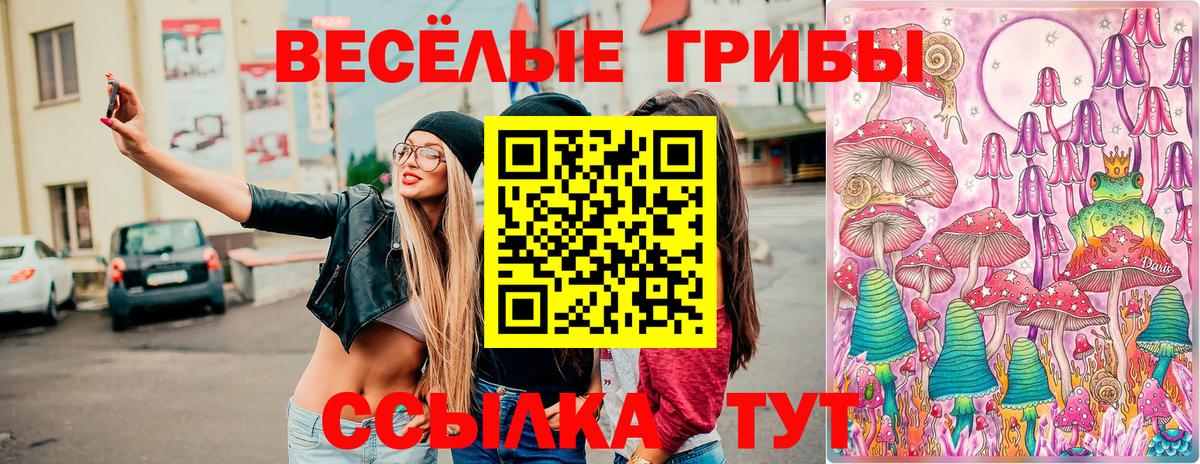 Галлюциногенные грибы мухоморы Торжок
