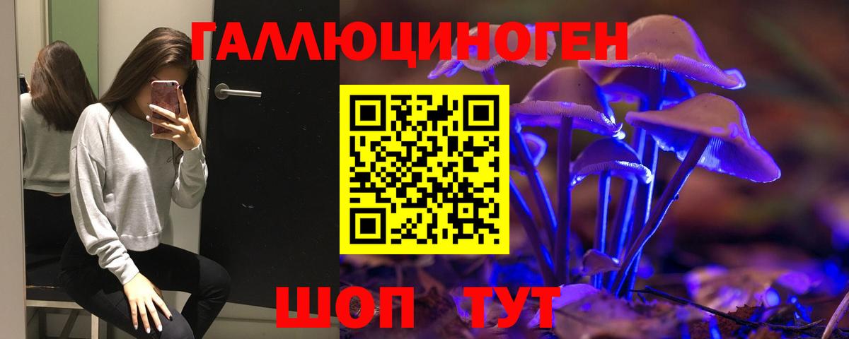 Торжок  Псилоцибиновые грибы Magic Shrooms  где купить   Псилоцибиновые грибы Psilocybine cubensis  Вход с VPN 